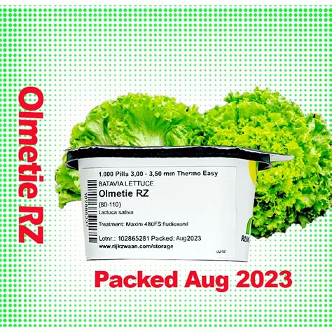 Olmetie Pelletized Lettuce Seeds By Rijk Zwaan Green Batavia