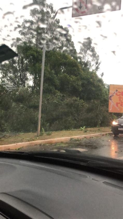 Chuva Forte Derruba Rvores Em Osasco Barueri E Parna Ba