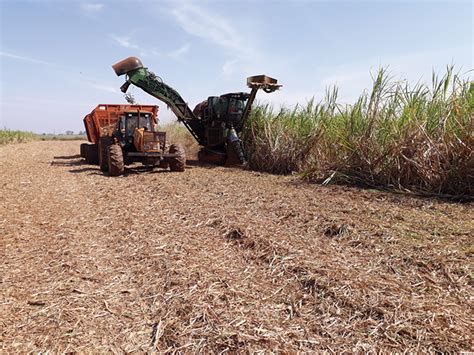 Desafios Da Colheita Mecanizada Em Cana Revista Cultivar