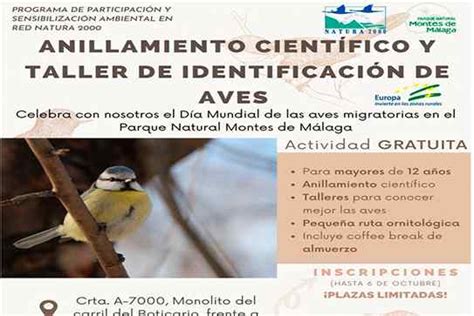 El Giraldillo ANILLAMIENTO CIENTÍFICO Y TALLER DE IDENTIFICACIÓN DE AVES