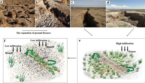 Emergence Of Subsidence Related Surface Fissures A And The Expansion