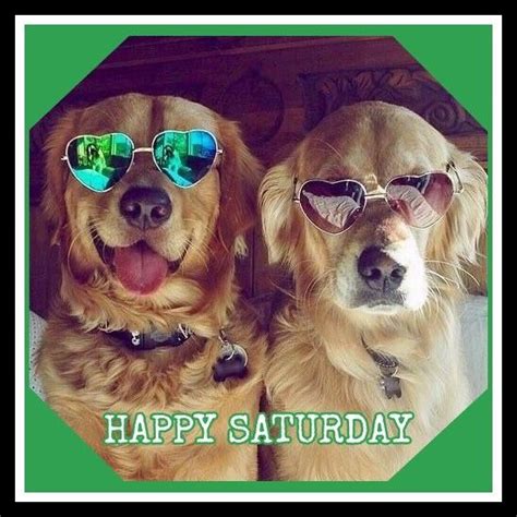 Happy Saturday | Good morning happy saturday, Happy saturday images, Good morning saturday