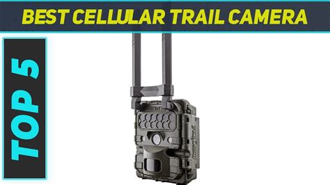 Top Best Cellular Trail Camera Youtube