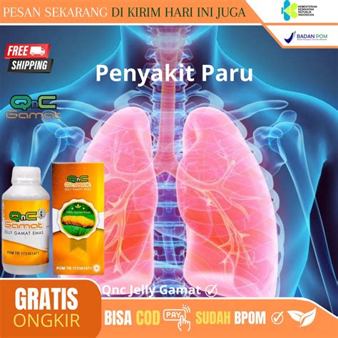 Jual Obat Paru Flek Paru Pembersih Paru Paru Paru Paru Perokok Aktif