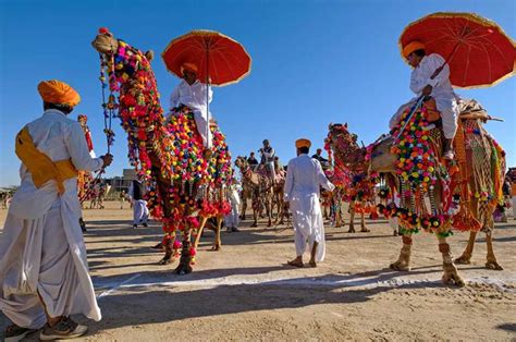 Nagaur Festival at Nagaur Festivals Celebration