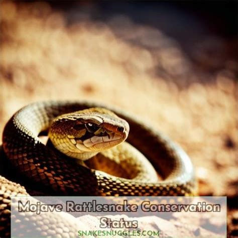 Mojave Rattlesnake Species Profile: Habits, Venom & Facts