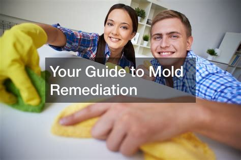 Your Guide To Mold Remediation Home Improvement Tips