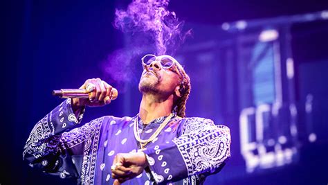 Rapper Snoop Dogg quits smoking weed - sauce.co.ke