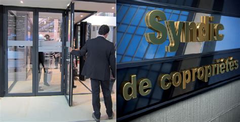 Syndic bénévole ou professionnel que choisir Daily mag le