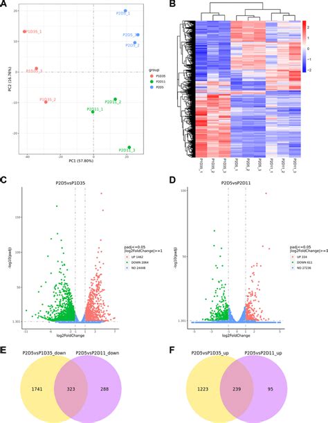 Pca And Deg Analysis Among The Three Groups Of Hesc Derived Rpe A Pca