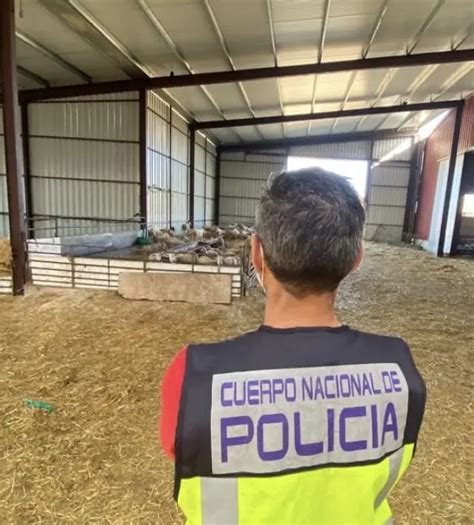 Un Ganadero Detenido Por Tener A Cinco Trabajadores En Situaci N