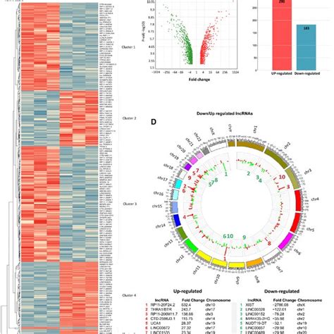 Expression Profile Of Lncrnas In 2d Monolayers And 3d Organotypic Cell