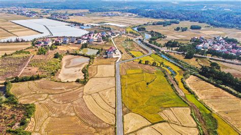 Banco de política rural de China aumenta apoyo para proyectos de