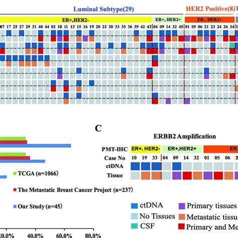 A The Landscape Of High Frequency Genomic Alterations From 45 Mbc Download Scientific Diagram