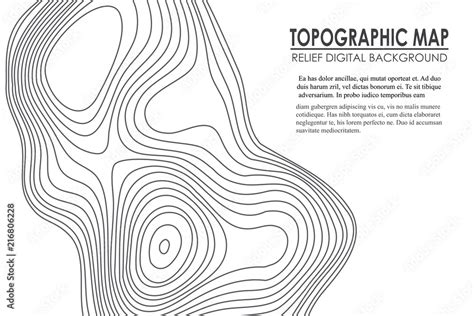 topographic map contour background  map  elevation geographic