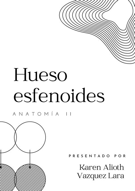 SOLUTION Hueso Esfenoides Studypool