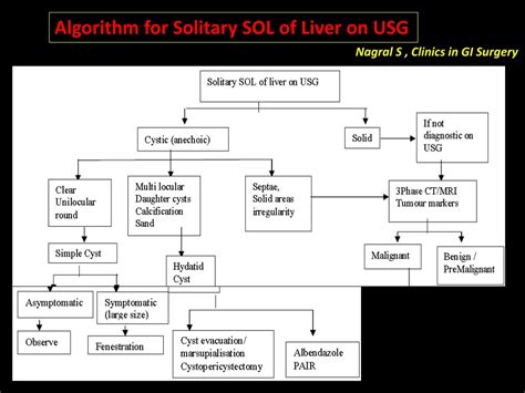 Sol In Liver 6