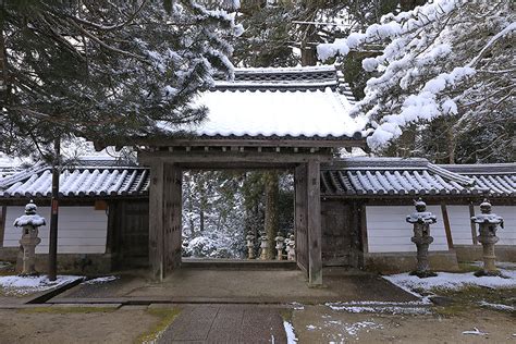 西明寺 雪