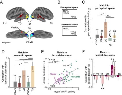 Lexical Task Fmri Experiment A Rois For An Example Subject