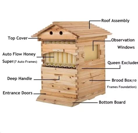 Auto Flow Honey Beehive Set Wooden Bee Hive X Flow Frames Brood