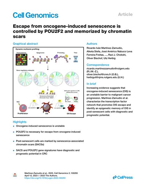 Pdf Escape From Oncogene Induced Senescence Is Controlled By Pou F