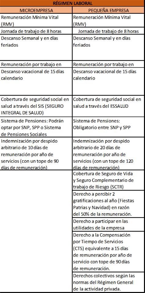 Régimen Laboral De La Micro Y Pequeña Empresa DiseÑo De Prueba