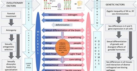 Are There Sex Differences In Pandemic Leadership Psychology Today