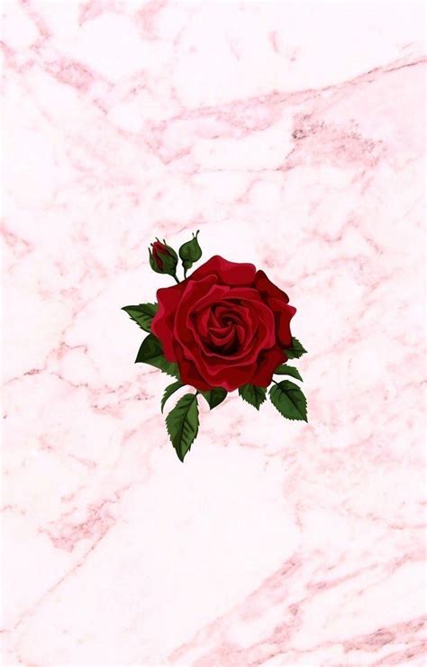 Pinterest Sfondi Iphone Rose SfondiCro