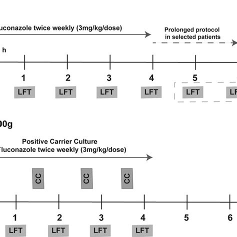 Schematic Representation Of Fluconazole Prophylaxis Protocol In The Download Scientific Diagram