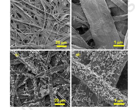 A Fe Sem Images Of The Filter Paper Substrate Scale Bar M B