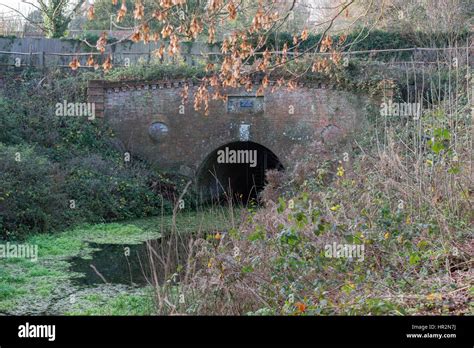 Bat Tunnel In Greywell Hi Res Stock Photography And Images Alamy