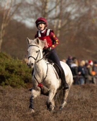 Gallery New Forest Pony Cattle Breeding