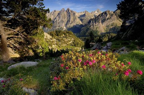 Aig Estortes I Estany De Sant Maurici National Park Turisme Valls D Neu