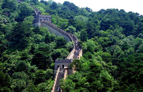 China’s planting a forest the size of Ireland