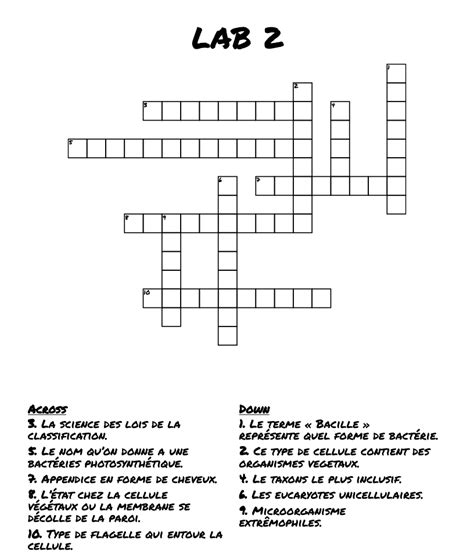 LAB 2 Crossword WordMint