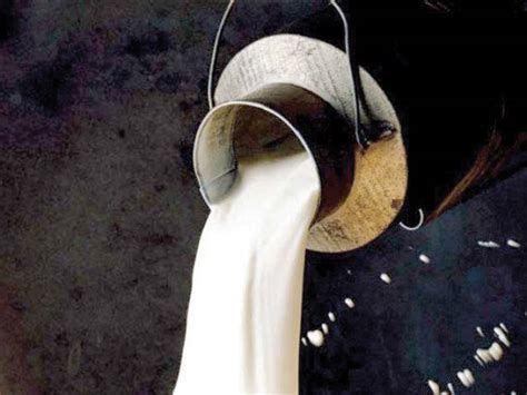 Adulterated milk seized in DG Khan