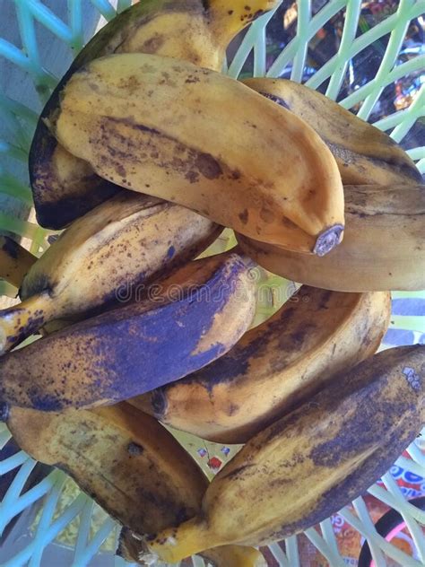 Boiled Banana Traditional Indonesian Food Stock Photo Image Of Banana