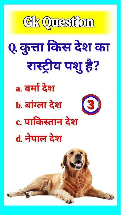 Gk Question॥ कुत्ता किस देश का रास्ट्रीय पशु है॥ Interesting Question