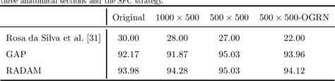 Table 7 from Advanced wood species identification based on multiple anatomical sections and ...