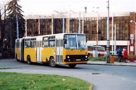 Transport Database And Photogallery Ikarus