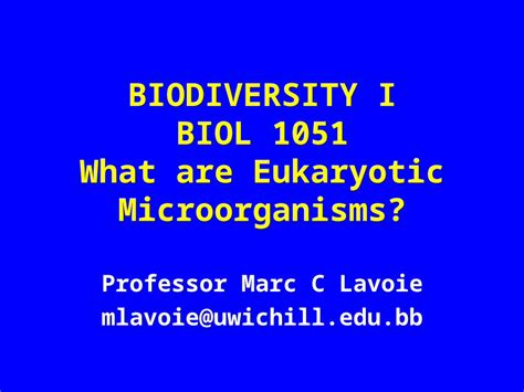 PPT BIODIVERSITY I BIOL 1051 What Are Eukaryotic Microorganisms