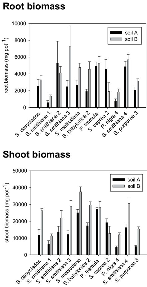 Shoot Leaves New Shoots And Root Biomass Production G Pot 1 Of