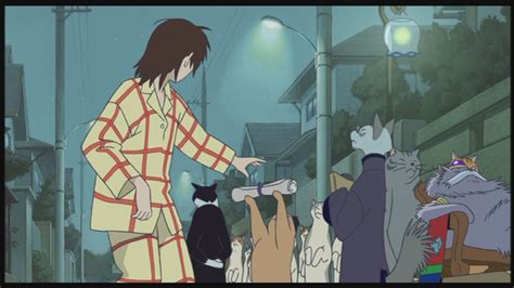 The Cat Returns Studio Ghibli Image 25627129 Fanpop