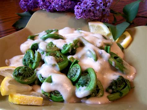 Fiddlehead Ferns Steamed With A Creamy Dijon Sauce Recipe Genius Kitchen