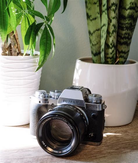 Fujifilm X-T3 vs X-T4 - Exploring the Differences [Complete Guide ...