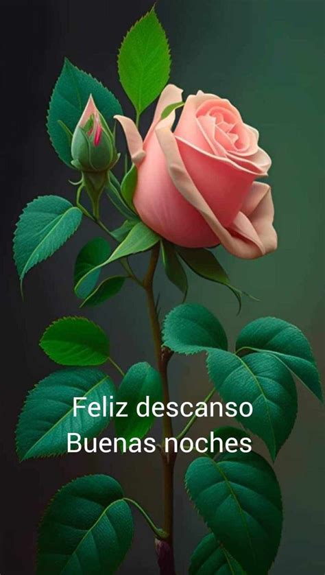 Pin De HeidiMichi En Buenas Noches Buenas Noches Con Flores Frases