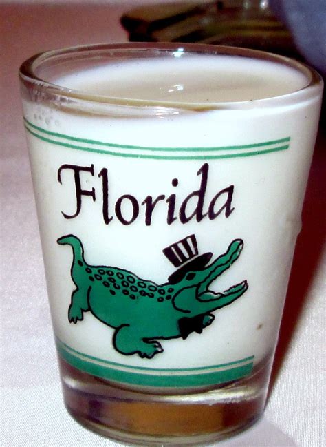 Florida Souvenir Shot Vintage Glass Gator Or Croc By Seattlebrat