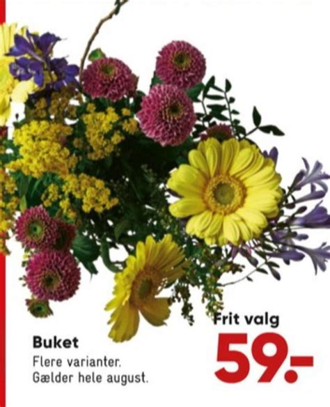 Buket Bilka August Alle Tilbudsavis