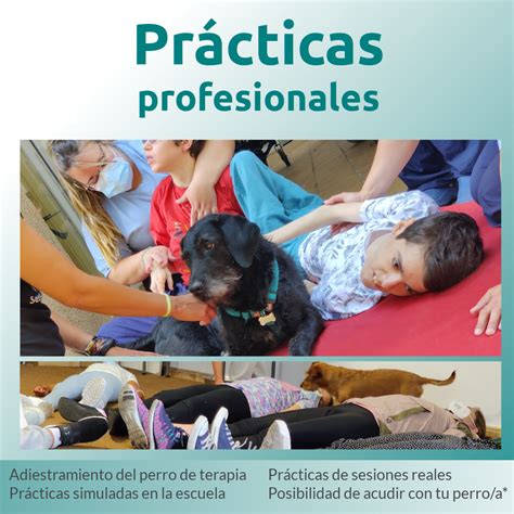 Prácticas profesionales de Intervenciones Asistidas con Animales