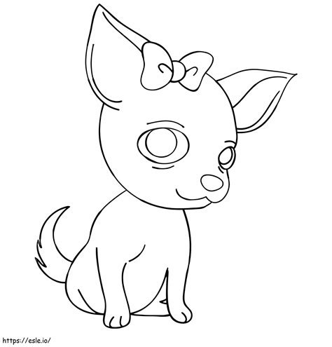 Chihuahua Is Cute coloring page